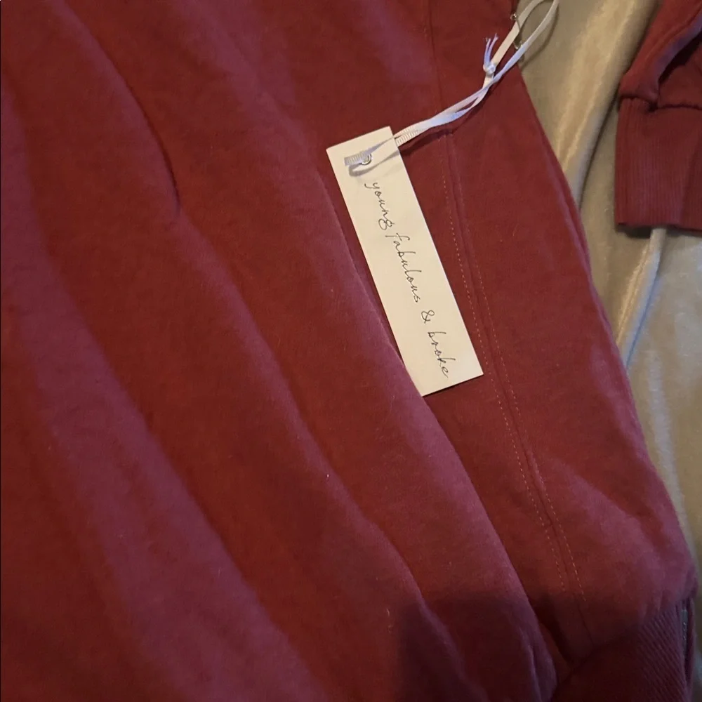 Young Fabulous & Broke Maroon Asymmetrical Turtleneck Dress XS NWT $178 - Picture 3 of 6